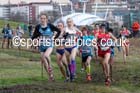Womens 6k, Morrisons Great Edinburgh Cross Country. Photo: David T. Hewitson/Sports for All Pics